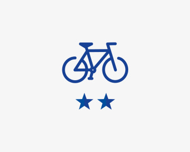 Professional Bikeservice