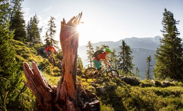 Zwei Mountainbiker fahren auf einem alpinen Singletrail durch Bergwald mit Sonnenstern und Gipfelpanorama im Hintergrund
