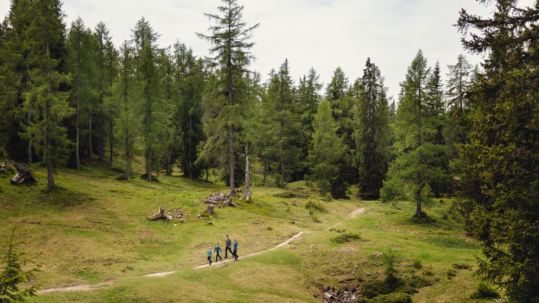 Eine Familie beim Wandern auf der Alm.