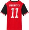 Michael Gregoritsch Matchworn Trikot