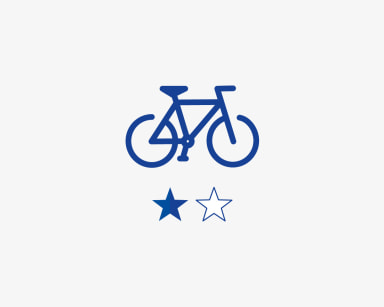 Classic Bikeservice