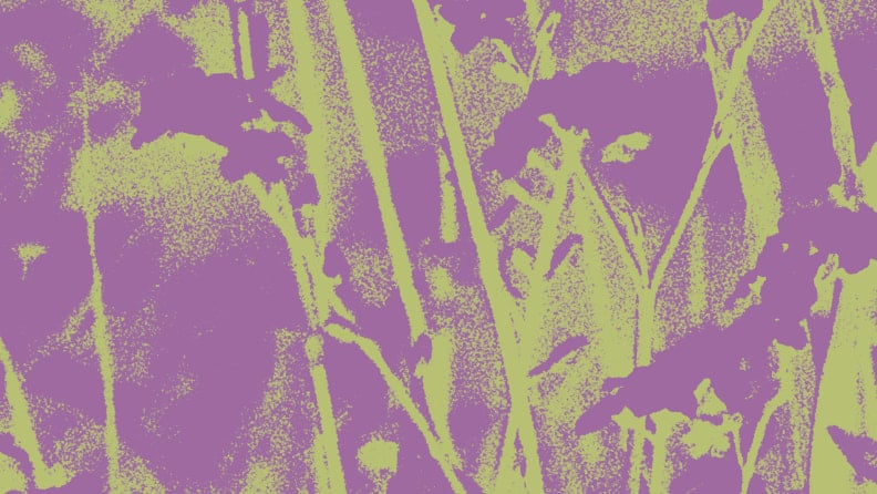 Eine stilisierte Darstellung von Blumen.