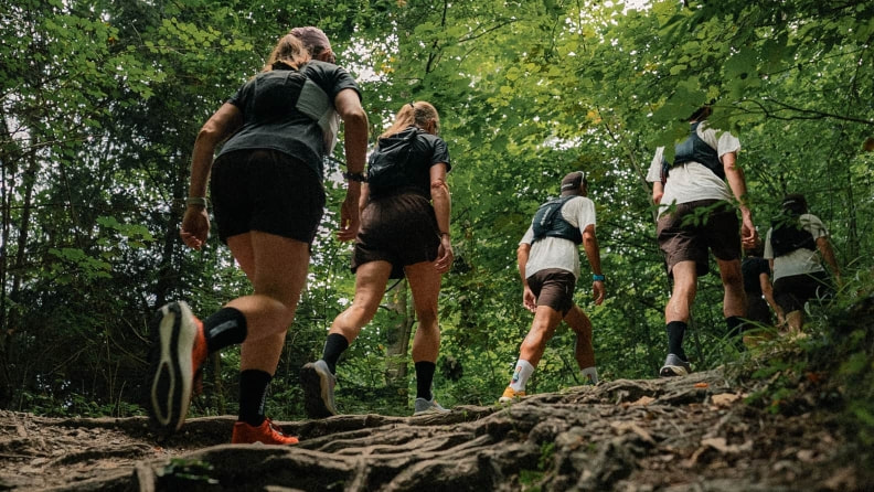 Mehrere Personen wandern auf einem wurzeligen Waldweg bergauf.