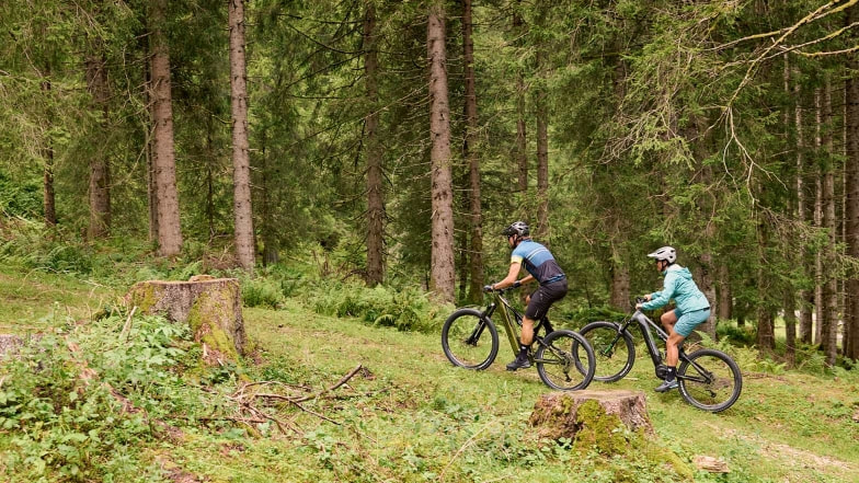 Durch den Wald geht's hier mit dem E-Mountainbike bergauf.