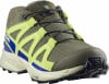 Salomon Speedcross WP Outdoorschuhe