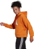 adidas Future Icons Hoodie