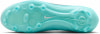 Nike Legend10 Pro FG Fußballschuhe