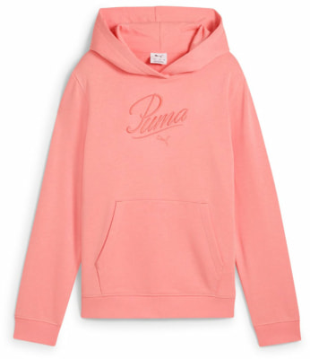 Puma Essentials Script Hoodie