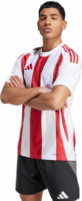adidas STRIPED 24 JSY Trikot AEROREADY