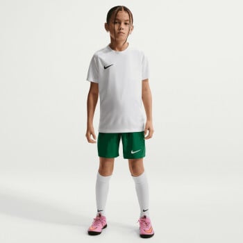 Nike Dri-FIT Park VIII Fußballtrikot