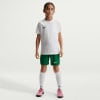 Nike Dri-FIT Park VIII Fußballtrikot