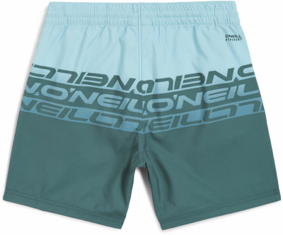 O'Neill Cali Stripe Badeshorts