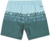 O'Neill Cali Stripe Badeshorts