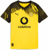 Puma BVB Home Jersey Replic Fantrikot mit Sponsor