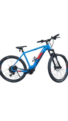 Genesis E-Pro MTB 2.2 LTD