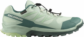 XA Flyer GTX Traillaufschuhe