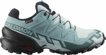 Salomon Speedcross 6 GTX Traillaufschuhe