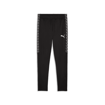 Puma teamLIGA26 Training Trainingshose