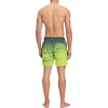 Firefly Lucio Badeshorts