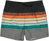 Billabong All Day Stripe Badeshorts
