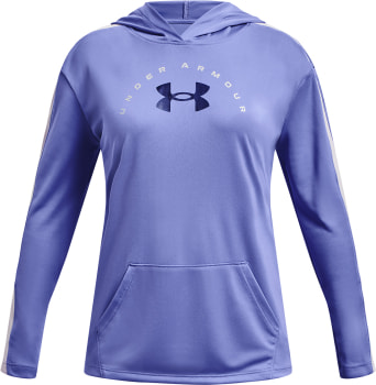 Under Armour Tech Graphiv L mikina