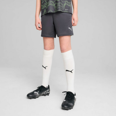 Puma IndividualFinal Trainingsshorts