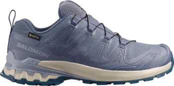 Salomon XA Pro 3D V9 GTX Traillaufschuhe