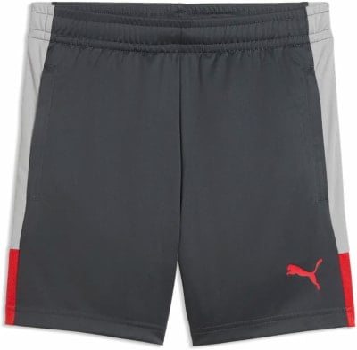 Puma Individual LIGA Fussballshorts
