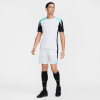 Nike Strike Dri-FIT Fußballshorts