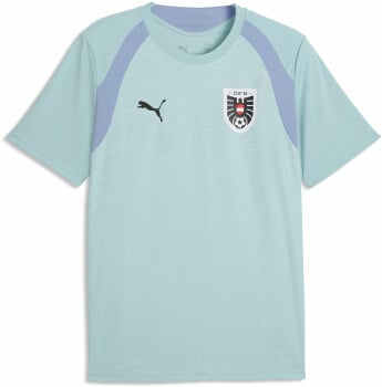 ÖFB 2026 Trainingstrikot