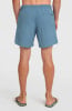 O'Neill Vert 16 Badeshort