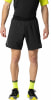 Dynafit Alpine Pro 2in1 Laufshorts