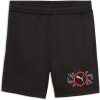 Puma Active Sports Poly Short