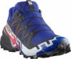 Salomon Speedcross 6 GTX Equipe Traillaufschuhe