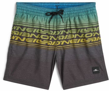 O'Neill Logo Stripe Badeshorts