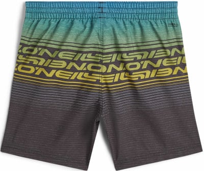 O'Neill Logo Stripe Badeshorts
