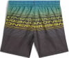 O'Neill Logo Stripe Badeshorts