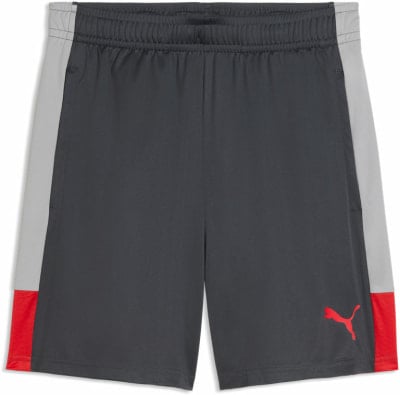 Puma IndividualLIGA Short