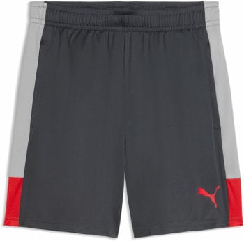 Puma IndividualLIGA Short