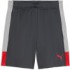 Puma IndividualLIGA Short