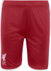 adidas FC Liverpool 26/27 Heim Fußballshorts