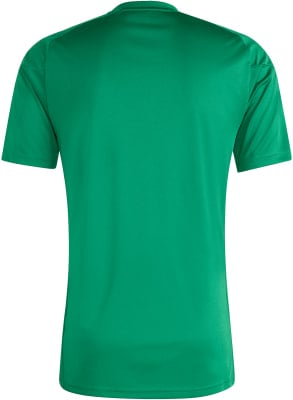 Grünes T-Shirt mit kurzen Ärmeln, Rückansicht. Grünes T-Shirt mit kurzen Ärmeln, Rückansicht.