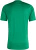 Grünes T-Shirt mit kurzen Ärmeln, Rückansicht.