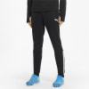 Puma teamLIGA Trainingshose