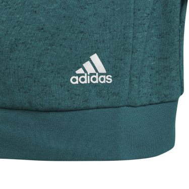 Future Icons 3-Streifen Hoodie