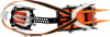 Petzl Lynx 14 Zack Steigeisen