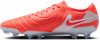 Nike Legend 10 Elite FG Fußballschuhe
