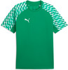 Puma teamLIGA26 Jersey T-Shirt 100%PES, dryCELL