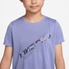 Nike DriFit HBR VNR Shirt