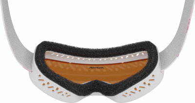 Alpina Carvy 3.0 Skibrille